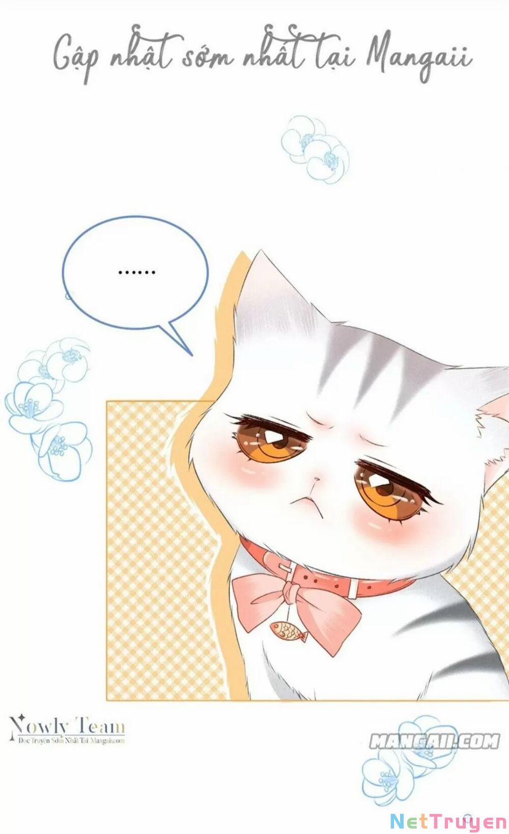 Cô Ấy Ngày Nào Cũng Lên Hot Search! 26 trang 15