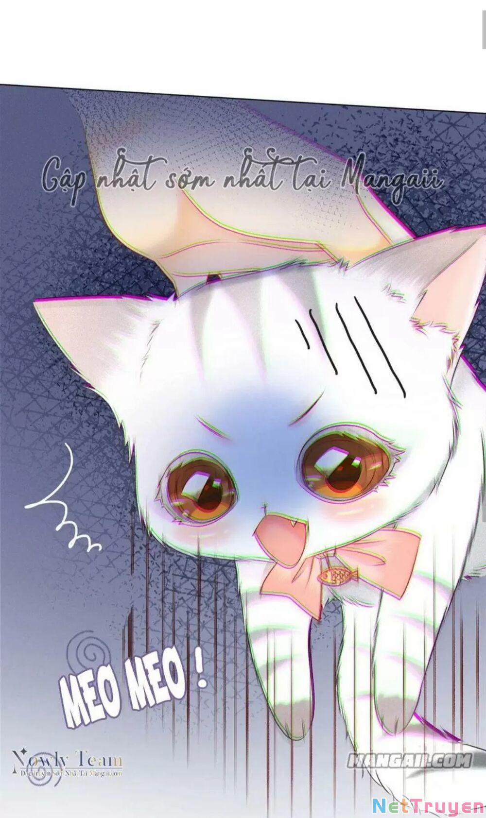 Cô Ấy Ngày Nào Cũng Lên Hot Search! 26 trang 18