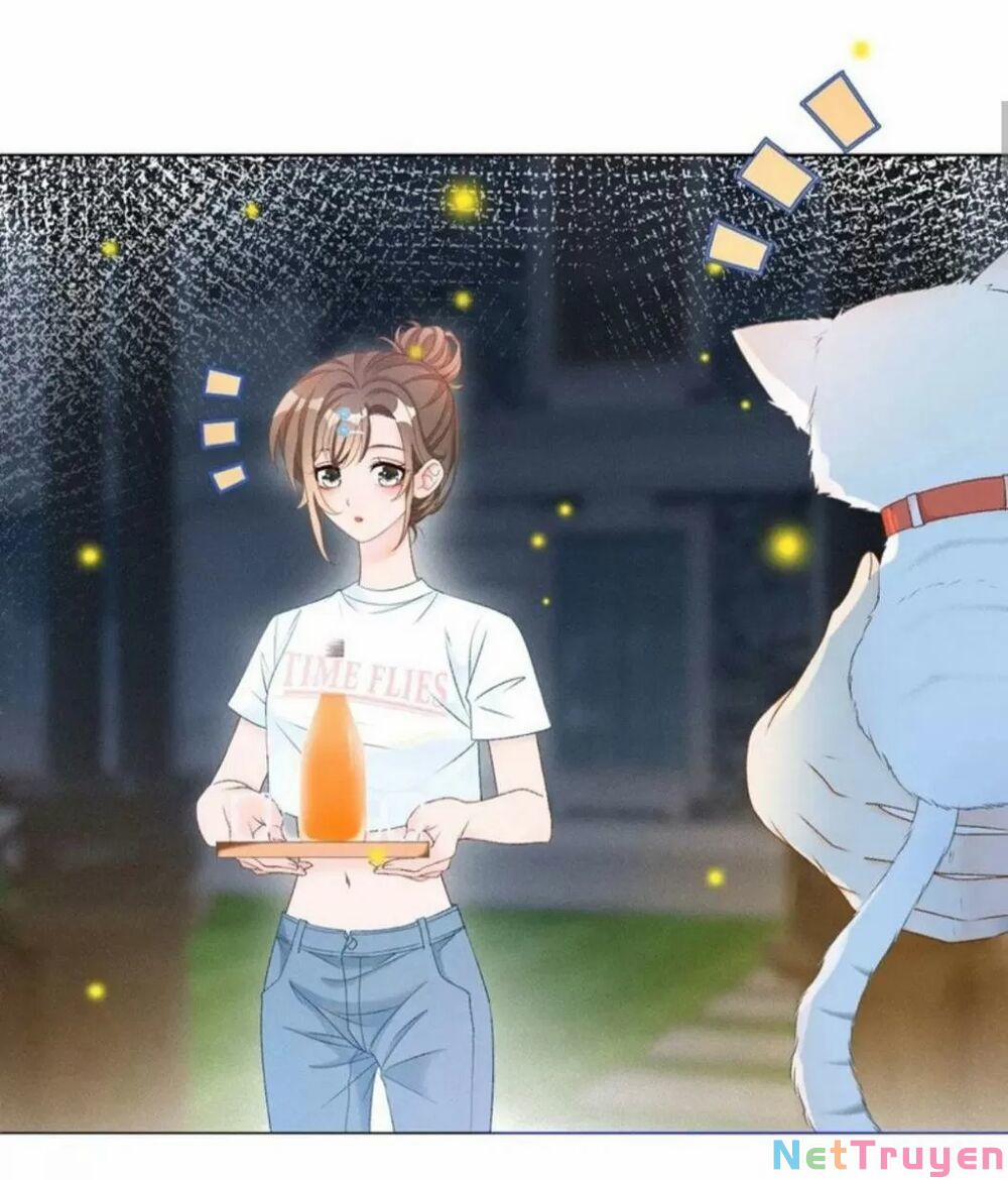 Cô Ấy Ngày Nào Cũng Lên Hot Search! 26 trang 23