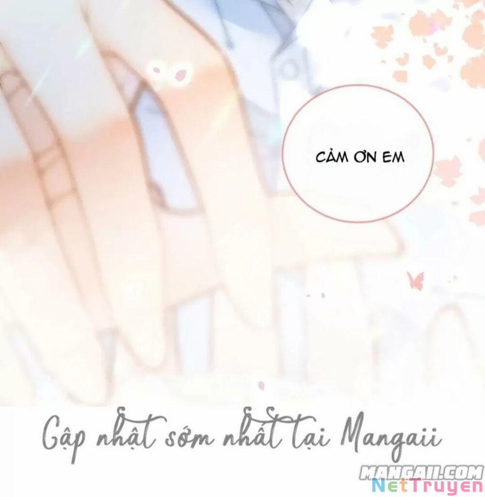 Cô Ấy Ngày Nào Cũng Lên Hot Search! 27 trang 12