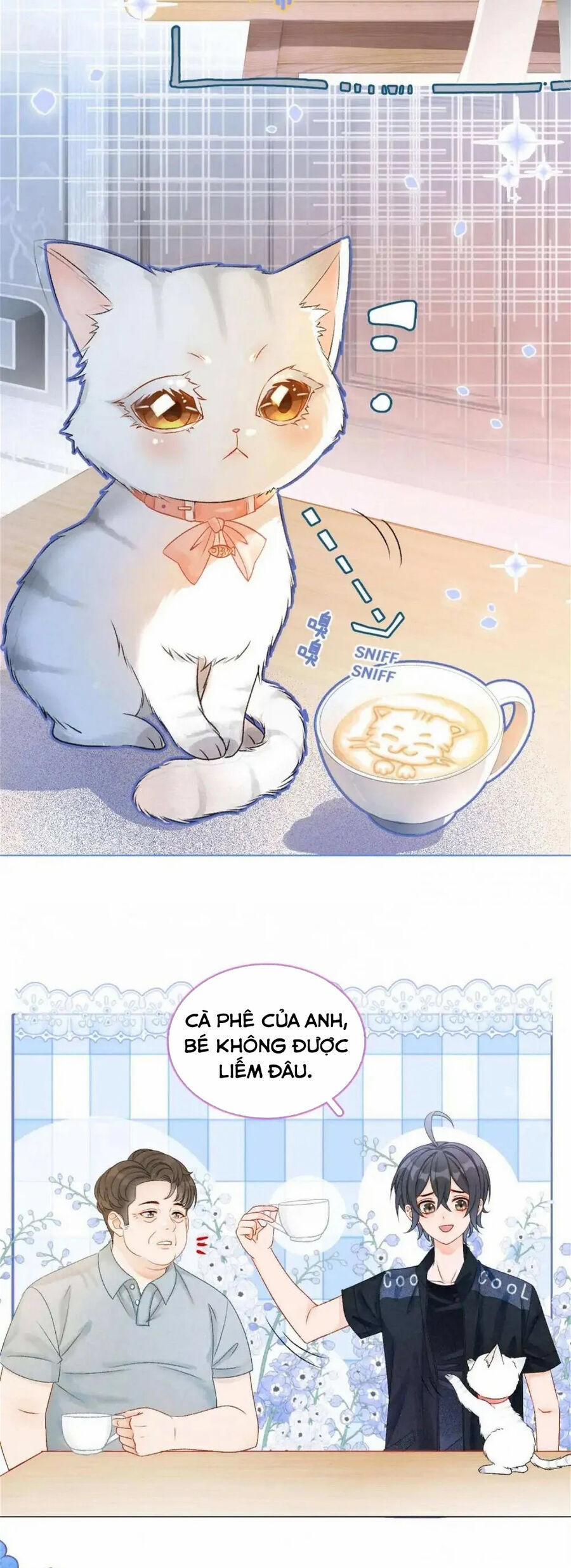 Cô Ấy Ngày Nào Cũng Lên Hot Search! 34 trang 13