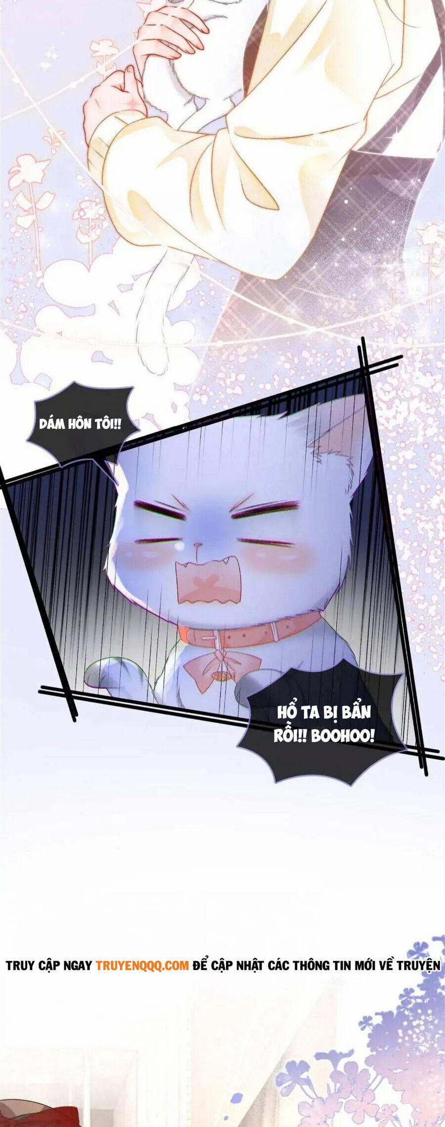 Cô Ấy Ngày Nào Cũng Lên Hot Search! 34 trang 17