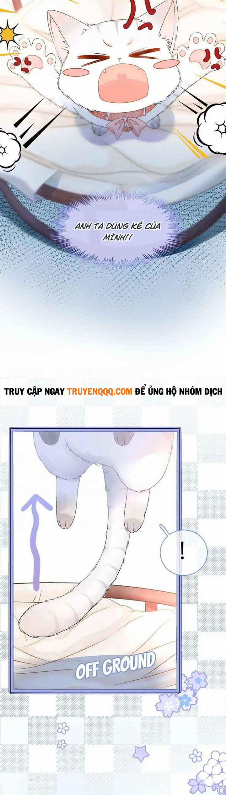 Cô Ấy Ngày Nào Cũng Lên Hot Search! 36 trang 11