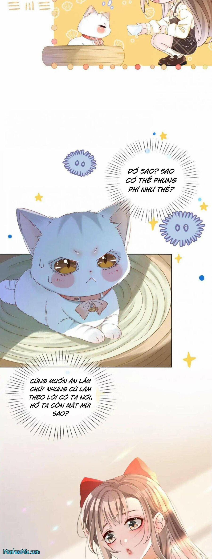 Cô Ấy Ngày Nào Cũng Lên Hot Search! 37 trang 3