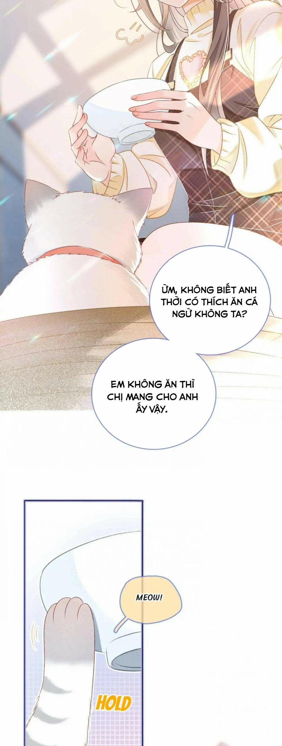 Cô Ấy Ngày Nào Cũng Lên Hot Search! 37 trang 4