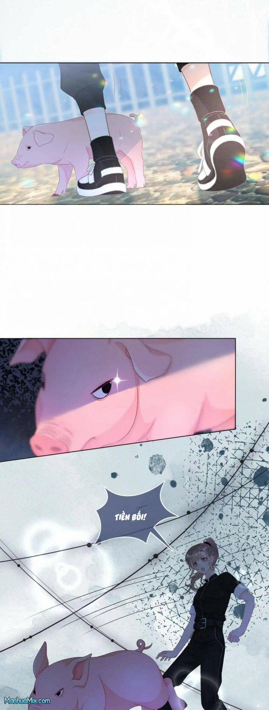 Cô Ấy Ngày Nào Cũng Lên Hot Search! 38 trang 15