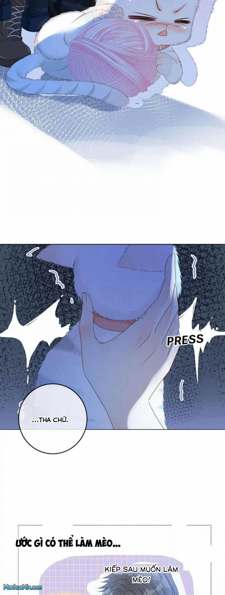 Cô Ấy Ngày Nào Cũng Lên Hot Search! 39 trang 11