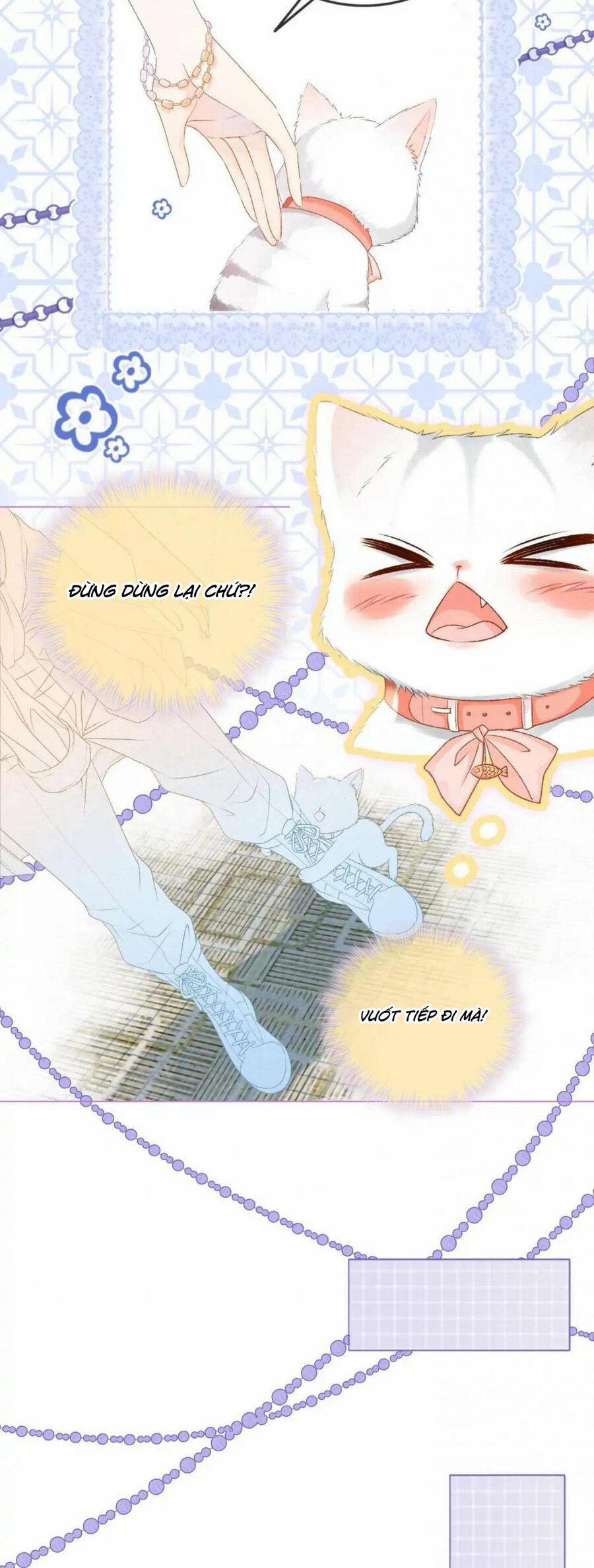 Cô Ấy Ngày Nào Cũng Lên Hot Search! 39 trang 13