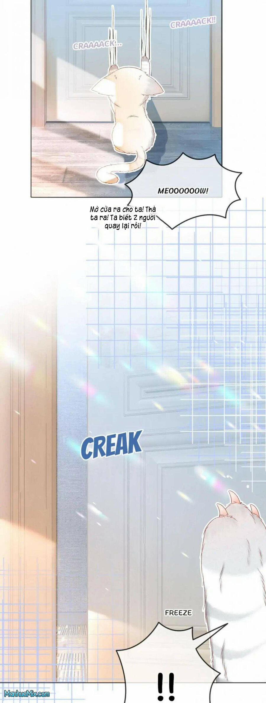 Cô Ấy Ngày Nào Cũng Lên Hot Search! 39 trang 3