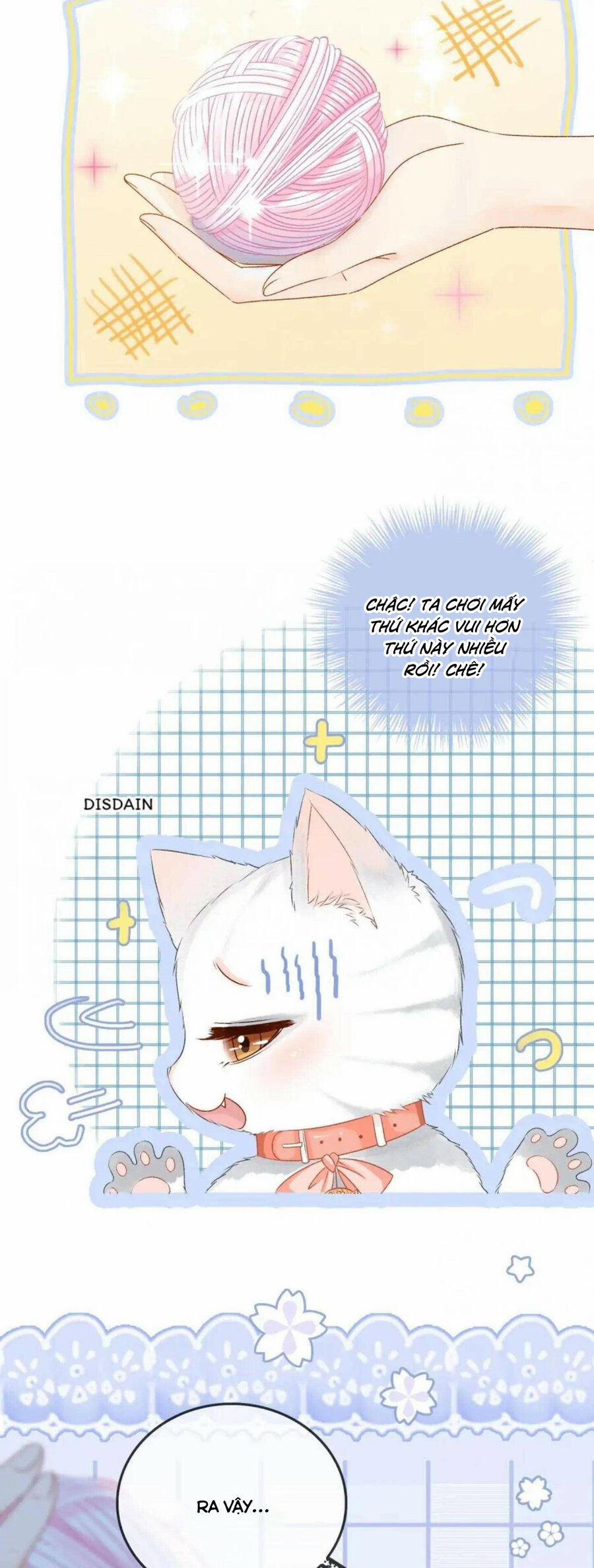 Cô Ấy Ngày Nào Cũng Lên Hot Search! 39 trang 6