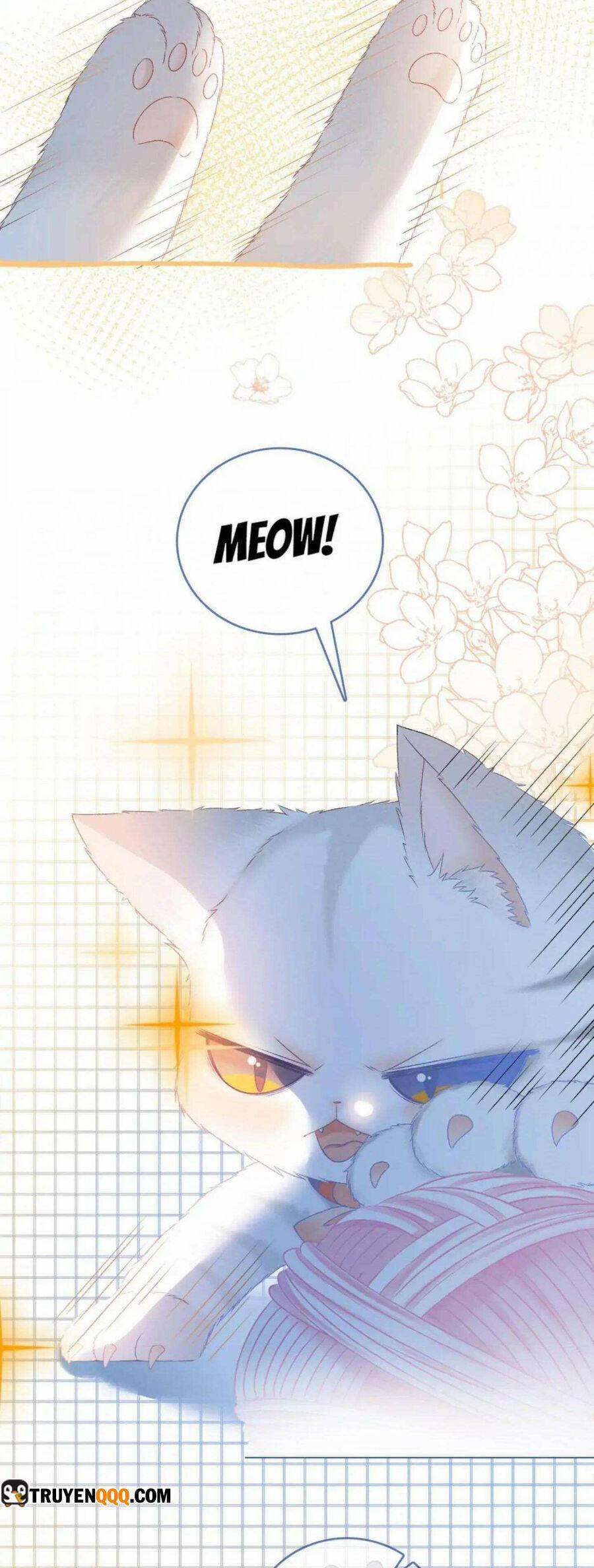 Cô Ấy Ngày Nào Cũng Lên Hot Search! 39 trang 9