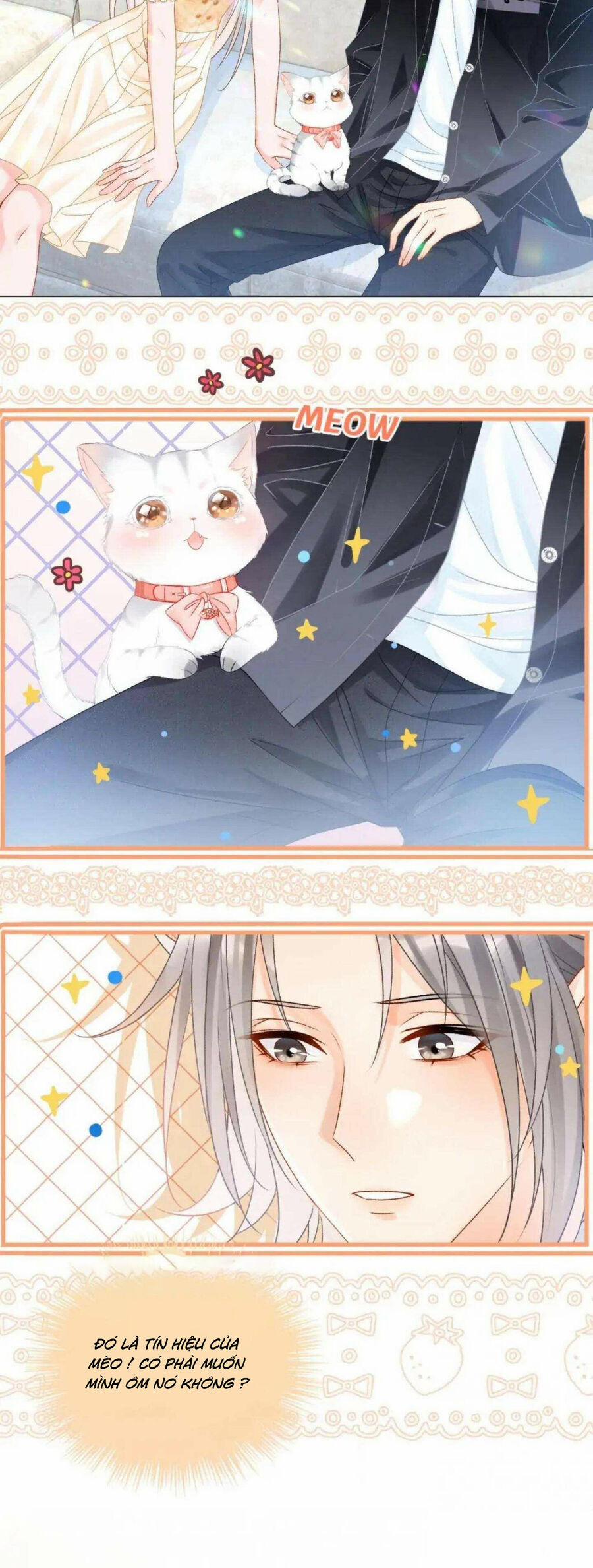 Cô Ấy Ngày Nào Cũng Lên Hot Search! 41 trang 20