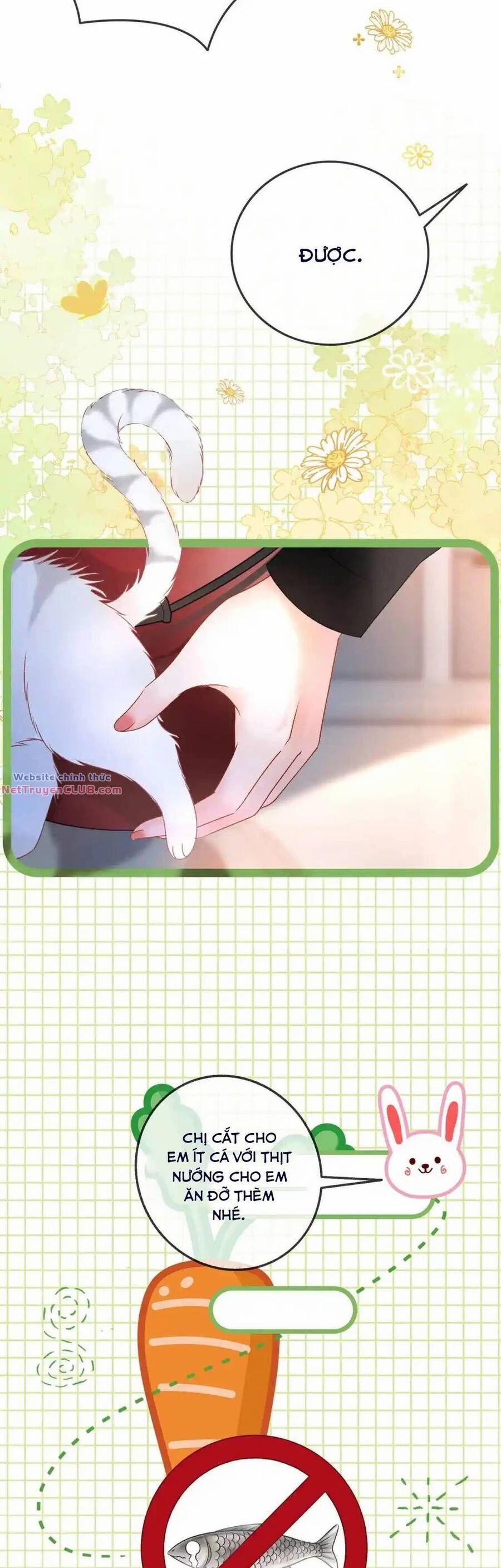 Cô Ấy Ngày Nào Cũng Lên Hot Search! 56 trang 11