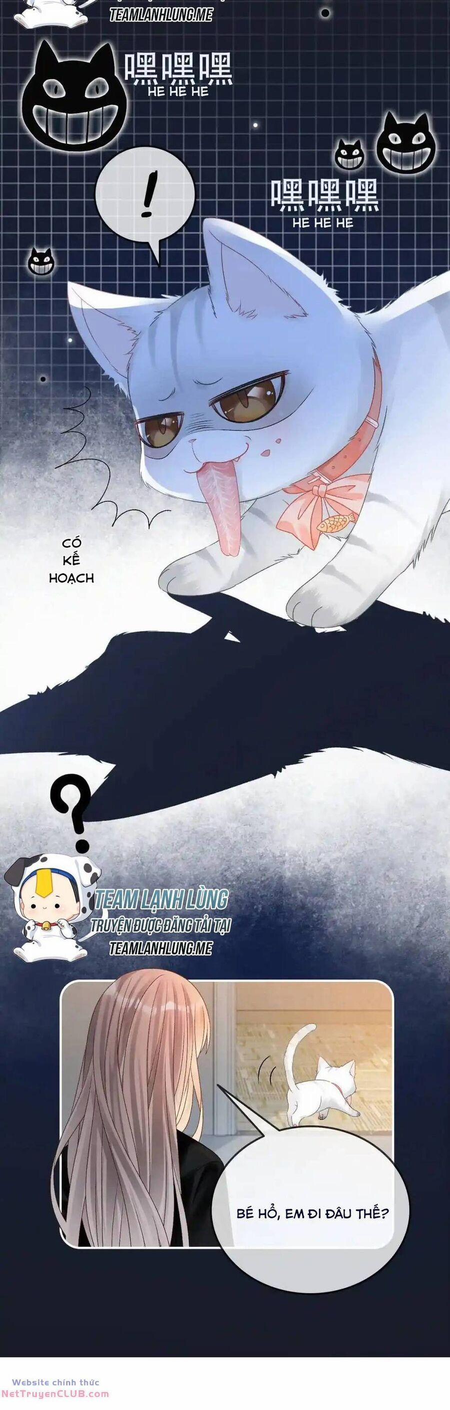 Cô Ấy Ngày Nào Cũng Lên Hot Search! 56 trang 13