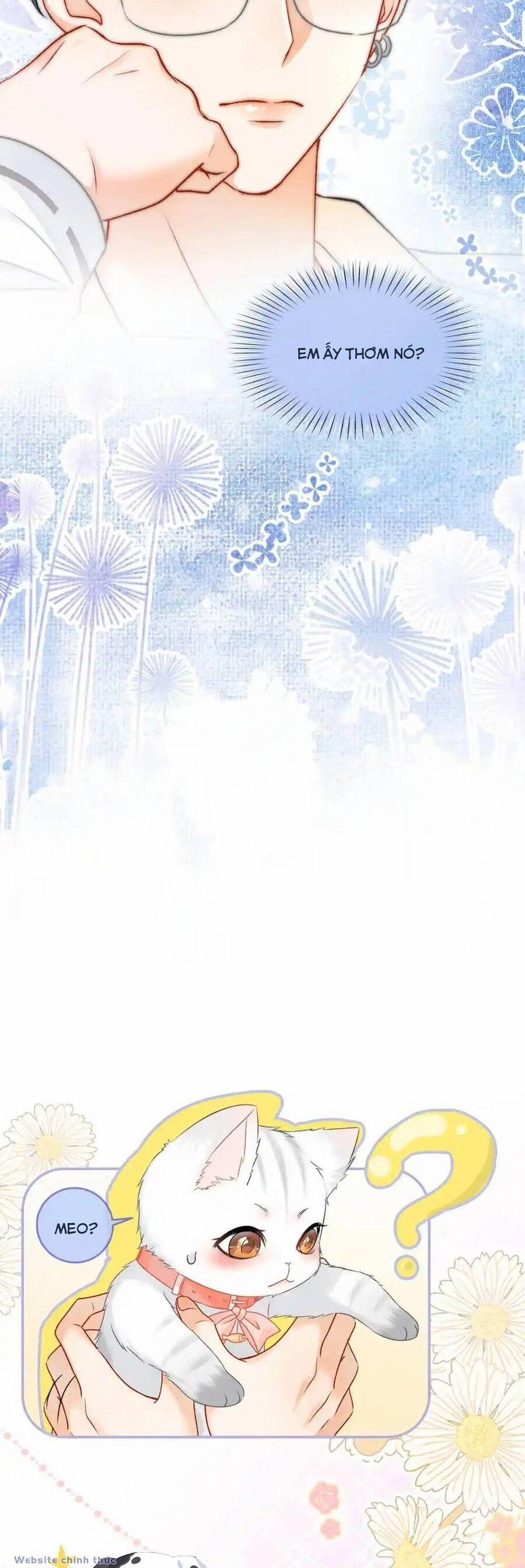 Cô Ấy Ngày Nào Cũng Lên Hot Search! 59 trang 11