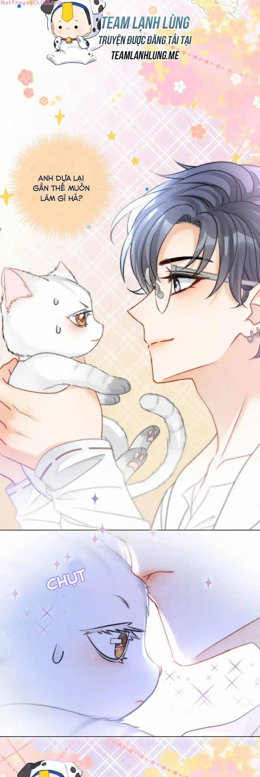 Cô Ấy Ngày Nào Cũng Lên Hot Search! 59 trang 12