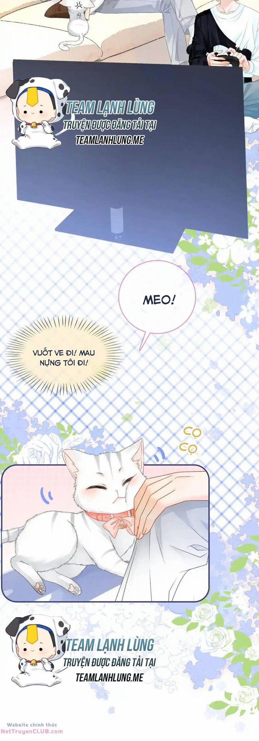 Cô Ấy Ngày Nào Cũng Lên Hot Search! 59 trang 8