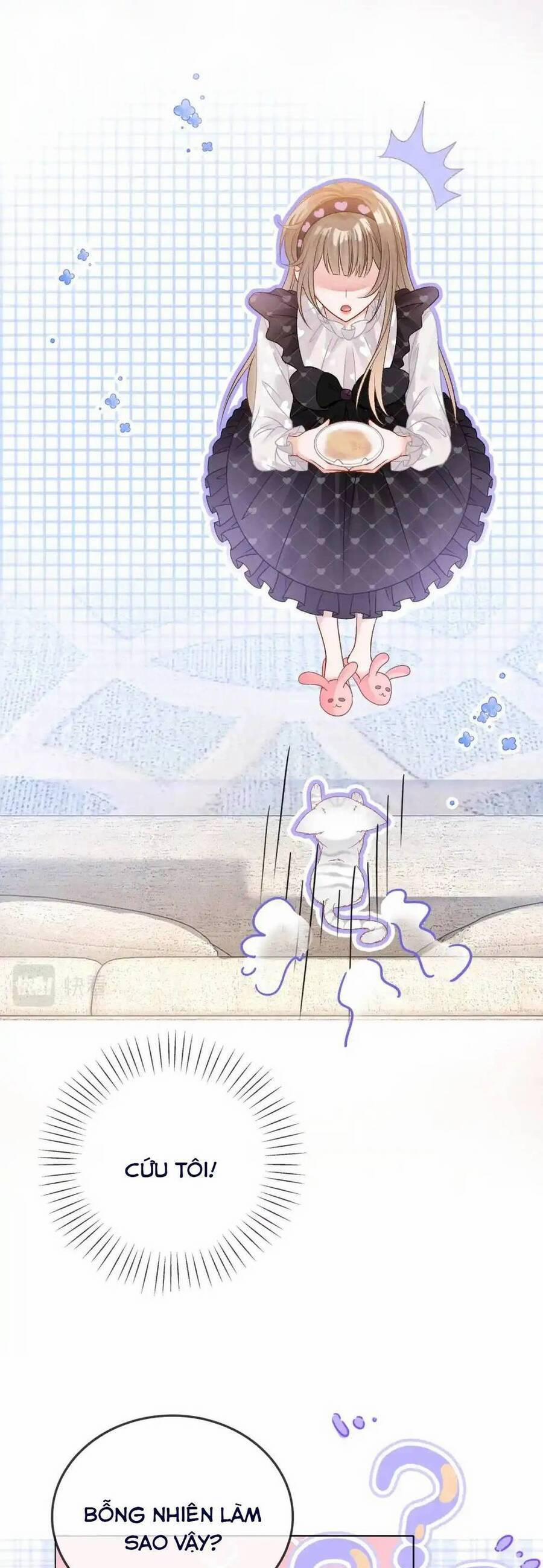 Cô Ấy Ngày Nào Cũng Lên Hot Search! 70 trang 12