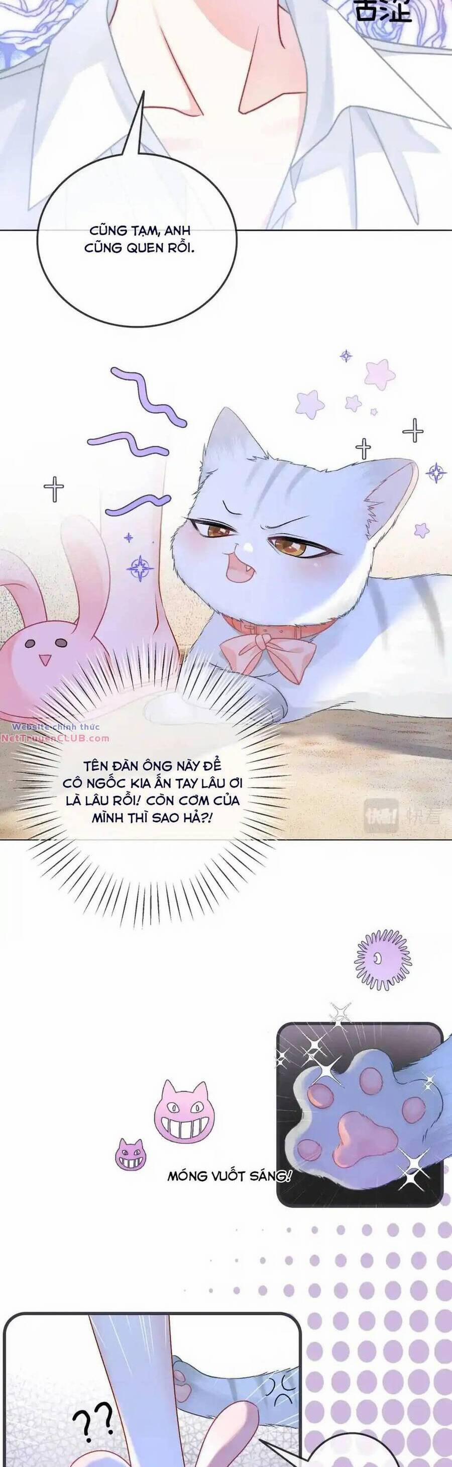 Cô Ấy Ngày Nào Cũng Lên Hot Search! 70 trang 2