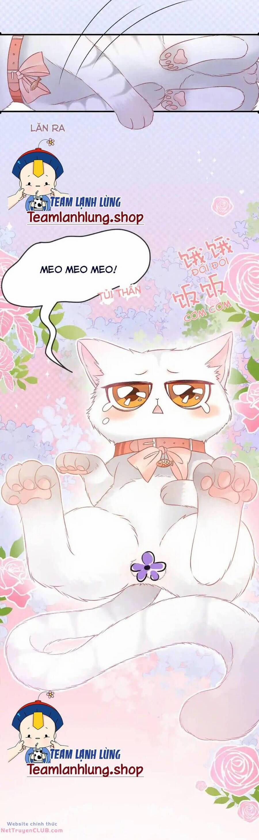 Cô Ấy Ngày Nào Cũng Lên Hot Search! 70 trang 4