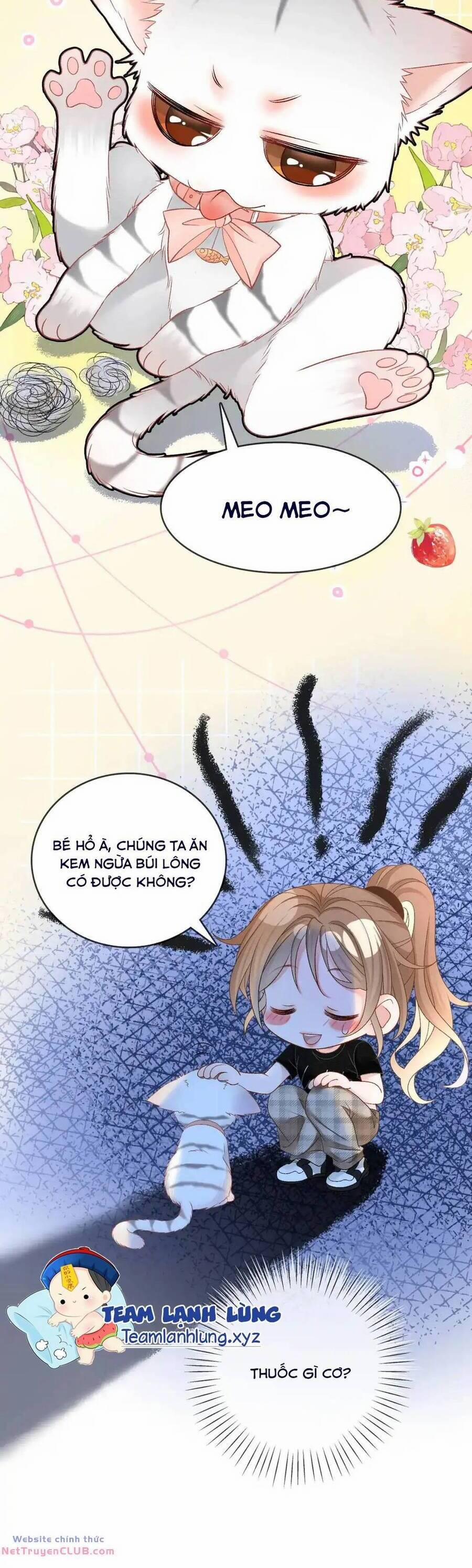 Cô Ấy Ngày Nào Cũng Lên Hot Search! 81 trang 4