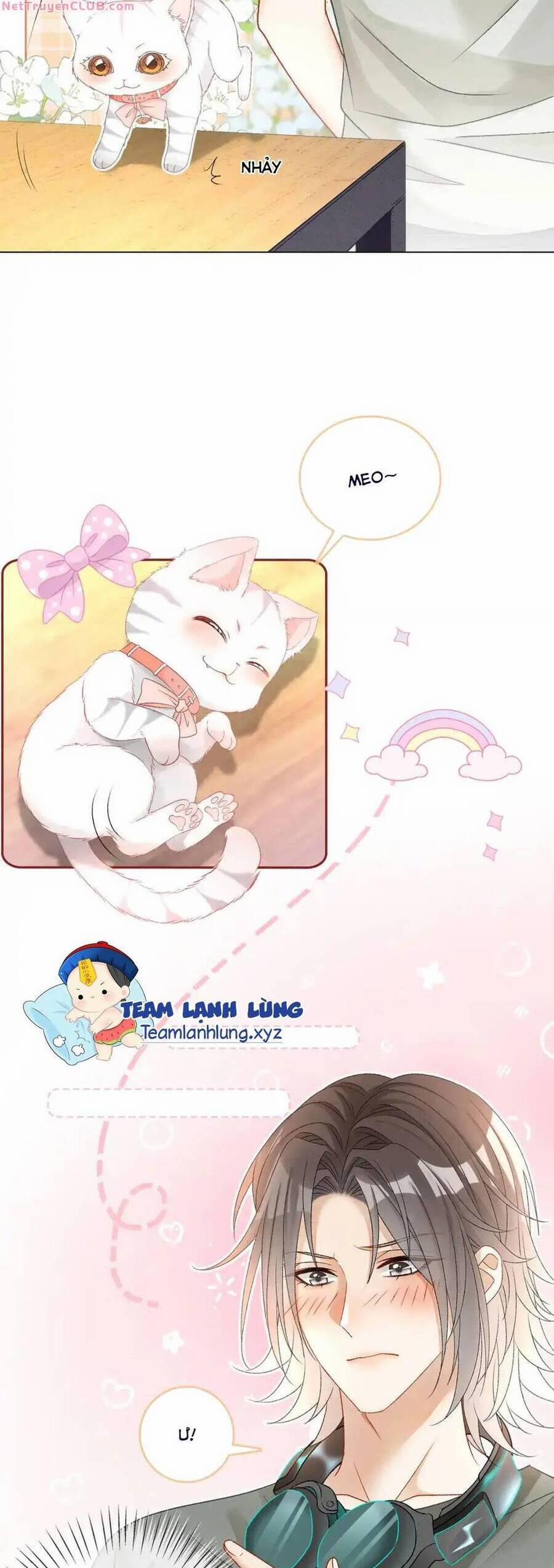 Cô Ấy Ngày Nào Cũng Lên Hot Search! 82 trang 22