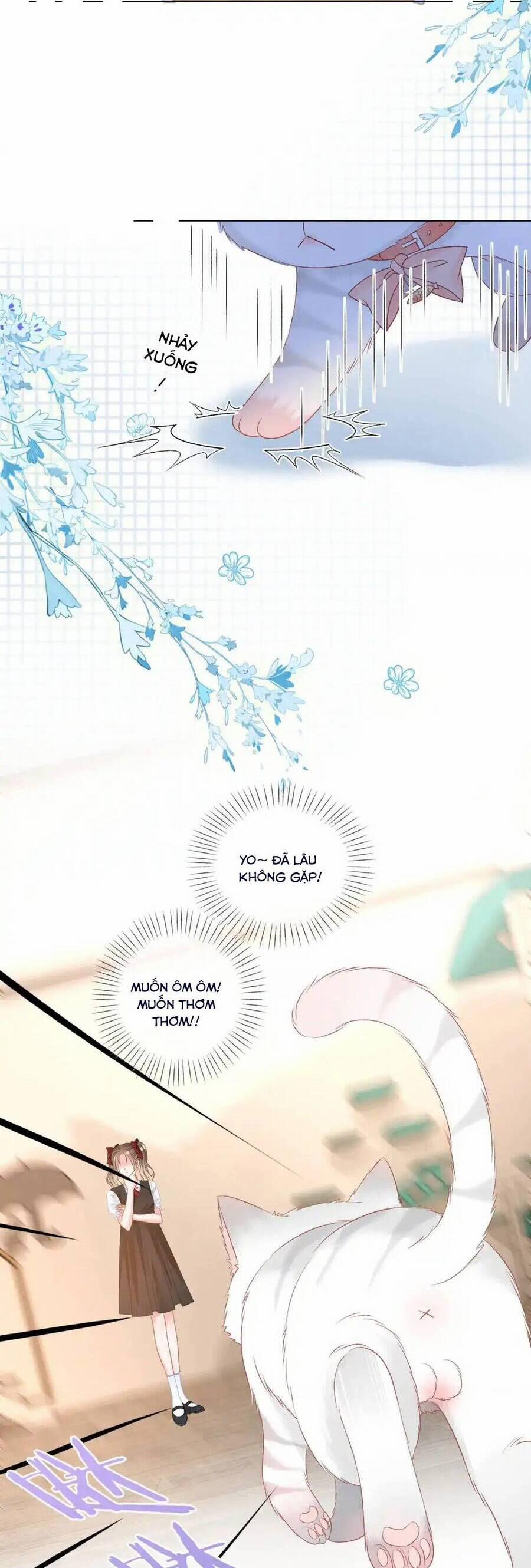 Cô Ấy Ngày Nào Cũng Lên Hot Search! 98 trang 14