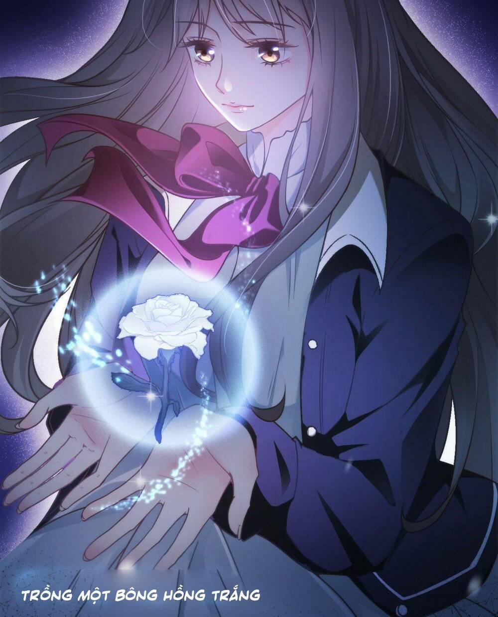 Cô Ấy Và Bông Hồng Trắng 1 trang 4