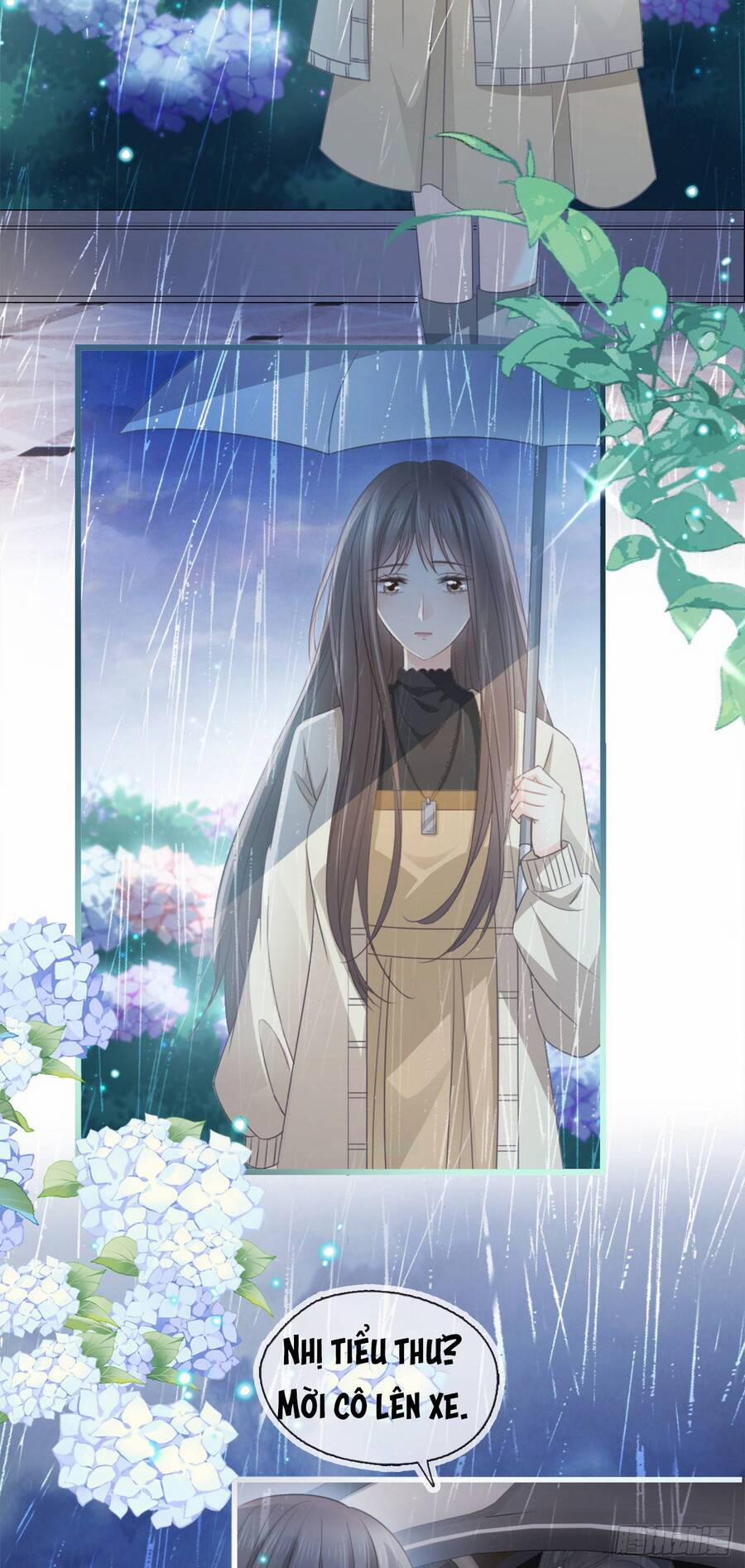 Cô Ấy Và Bông Hồng Trắng 8 trang 2