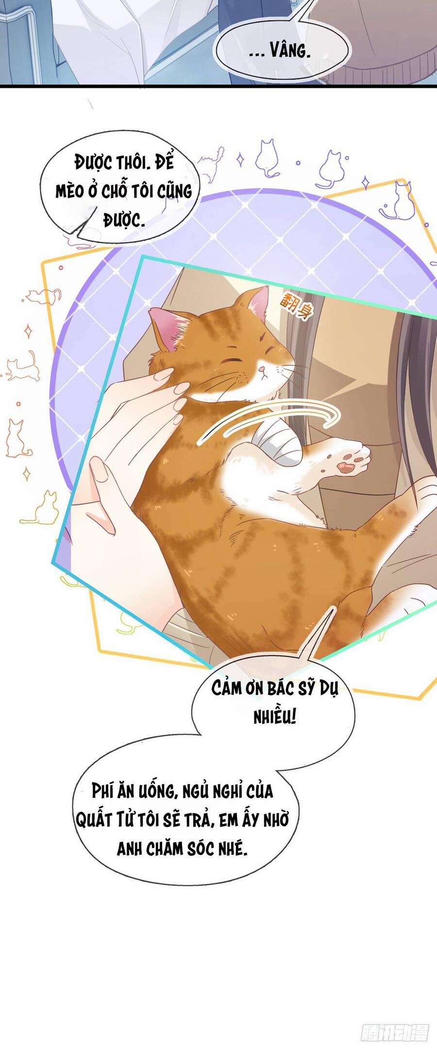 Cô Ấy Và Bông Hồng Trắng 8 trang 21