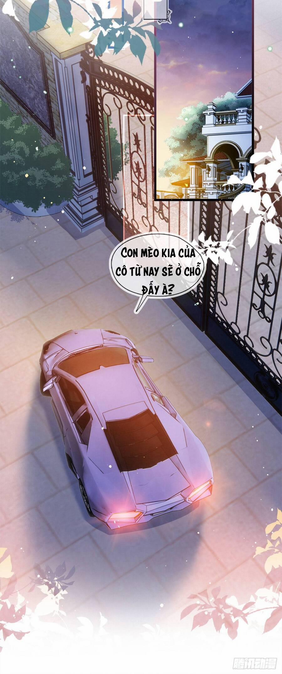 Cô Ấy Và Bông Hồng Trắng 8 trang 38