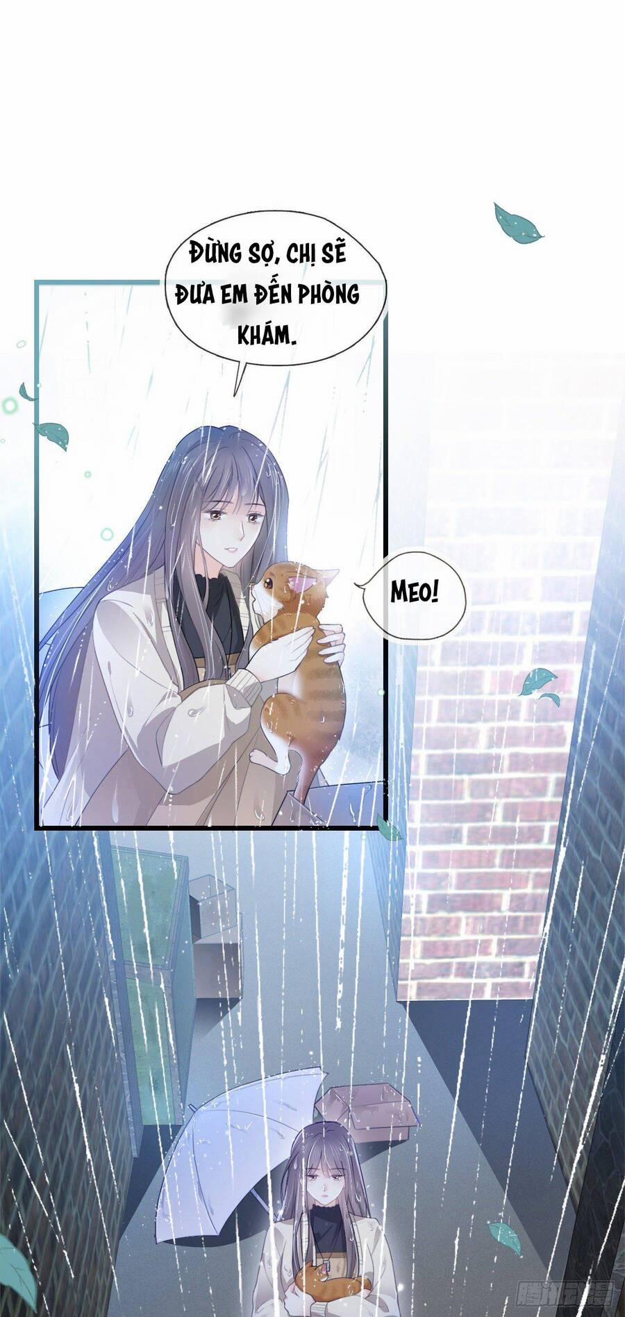 Cô Ấy Và Bông Hồng Trắng 8 trang 7