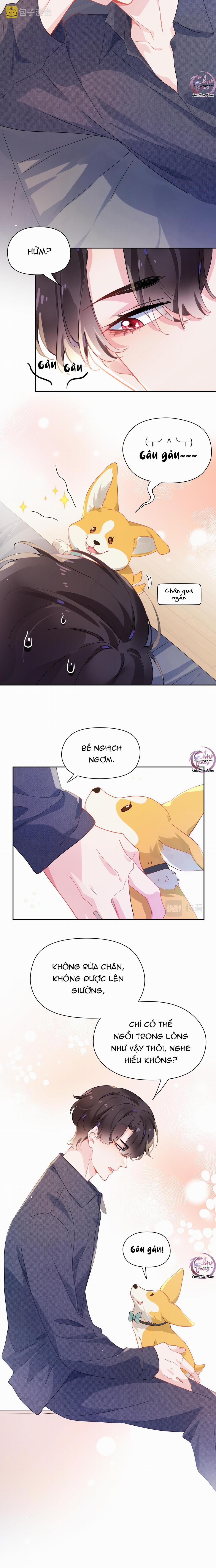 Có Bản Lĩnh Thì Cậu Thử Nổi Nóng Tiếp Đi? 84 trang 3