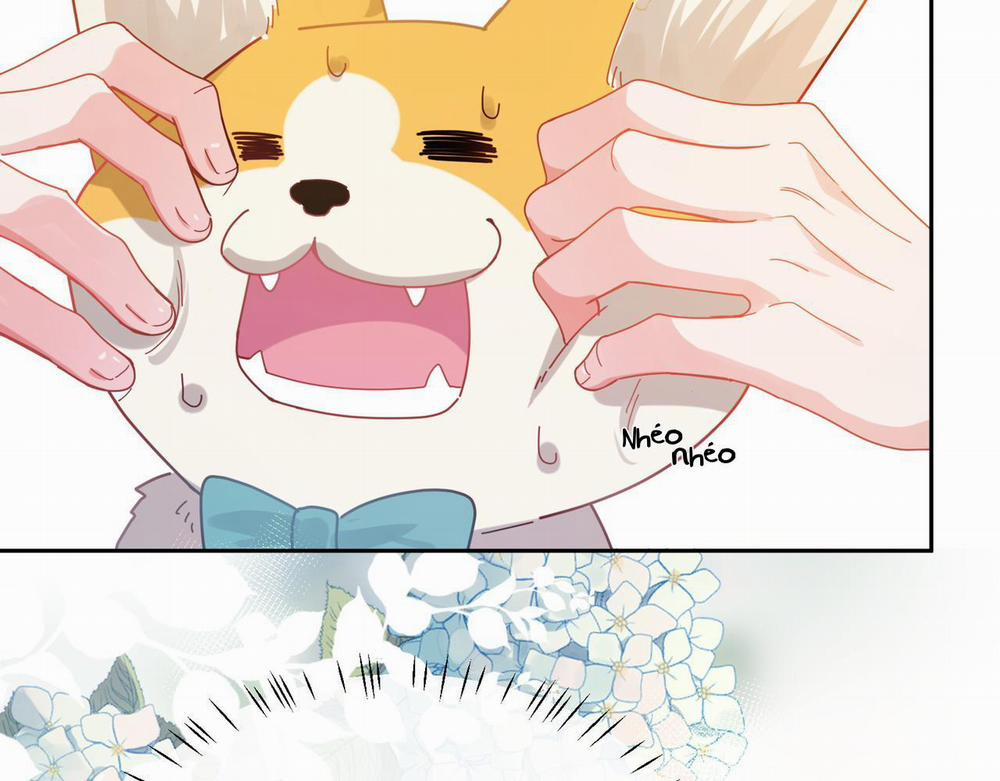 Có Bản Lĩnh Thì Cậu Thử Nổi Nóng Tiếp Đi? 97 trang 16