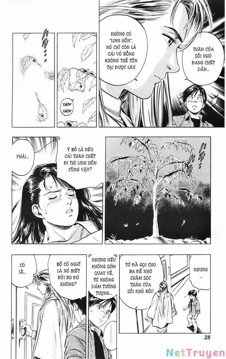 Cô Bé Mặt Trời 19 trang 2