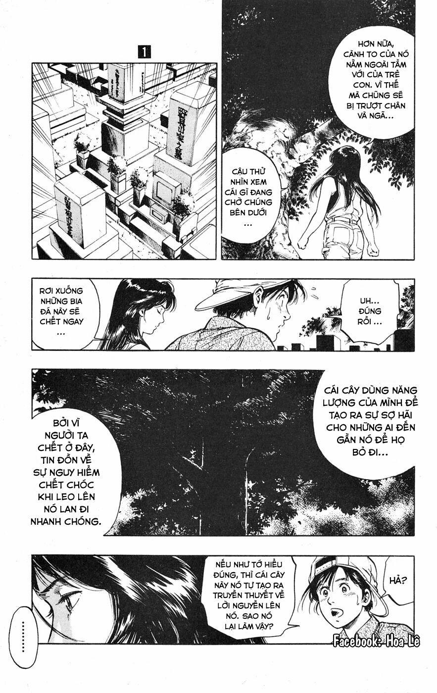 Cô Bé Mặt Trời 6 trang 14