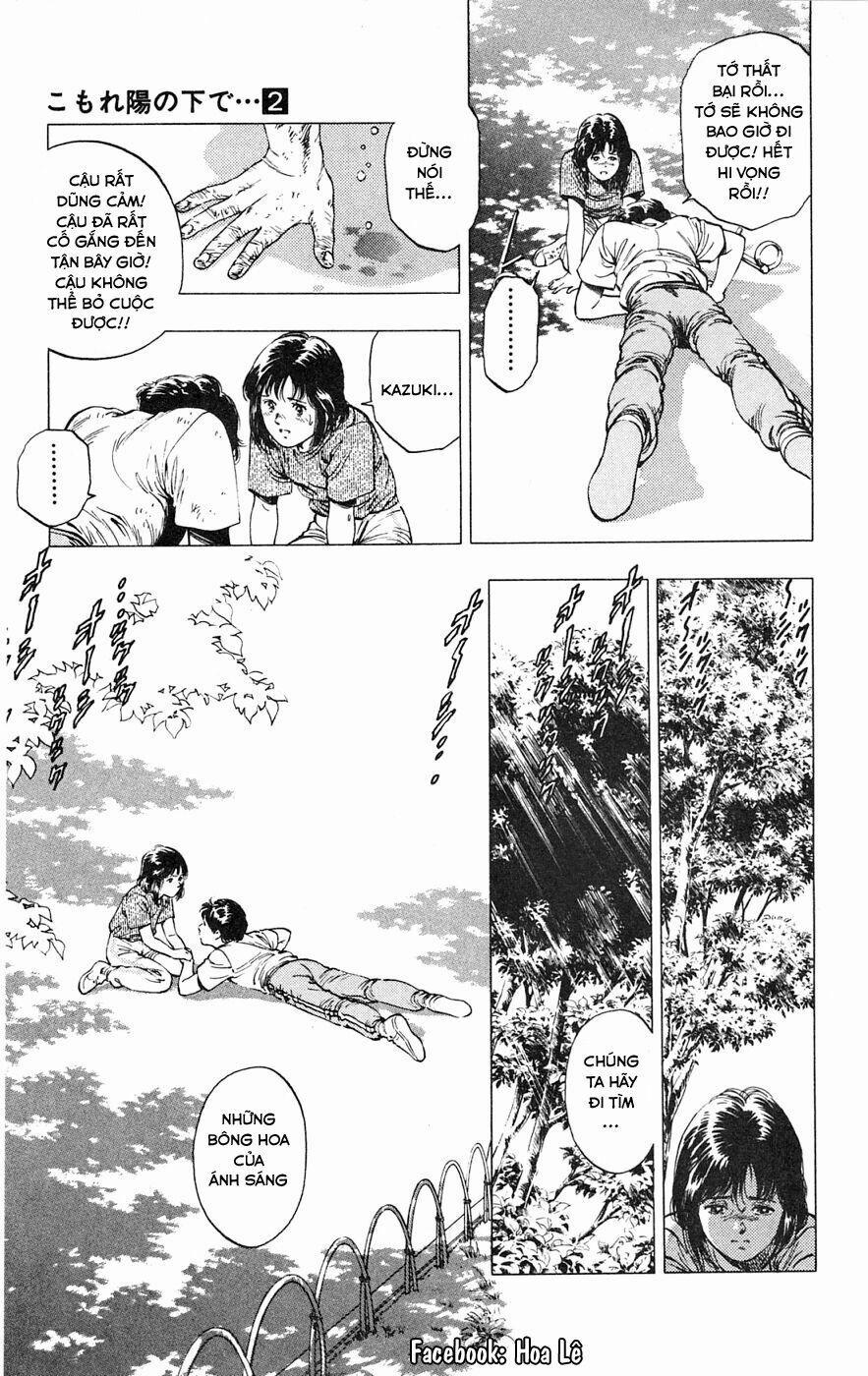 Cô Bé Mặt Trời 8 trang 17