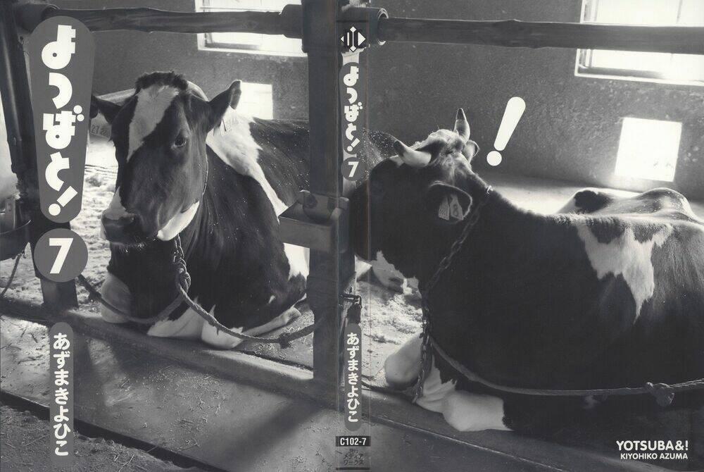 Cỏ Bốn Lá 42 trang 3