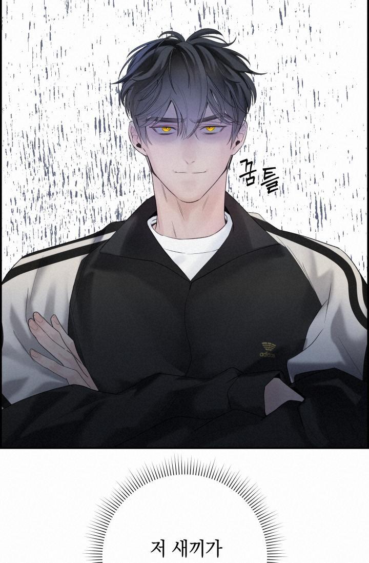 Cơ Chế Bảo Vệ 17 trang 39