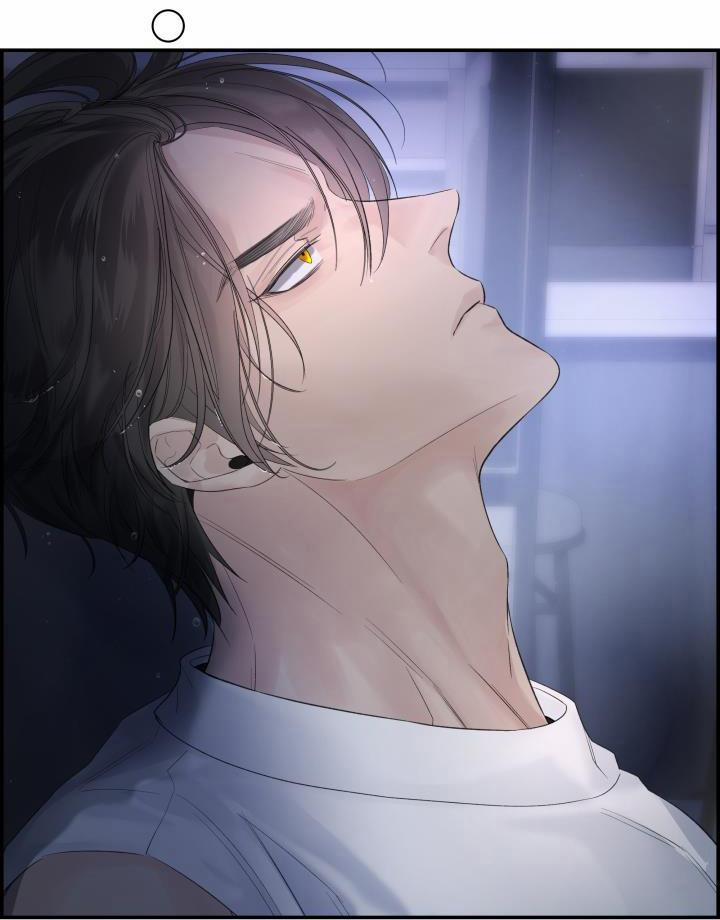 Cơ Chế Bảo Vệ 19 trang 14