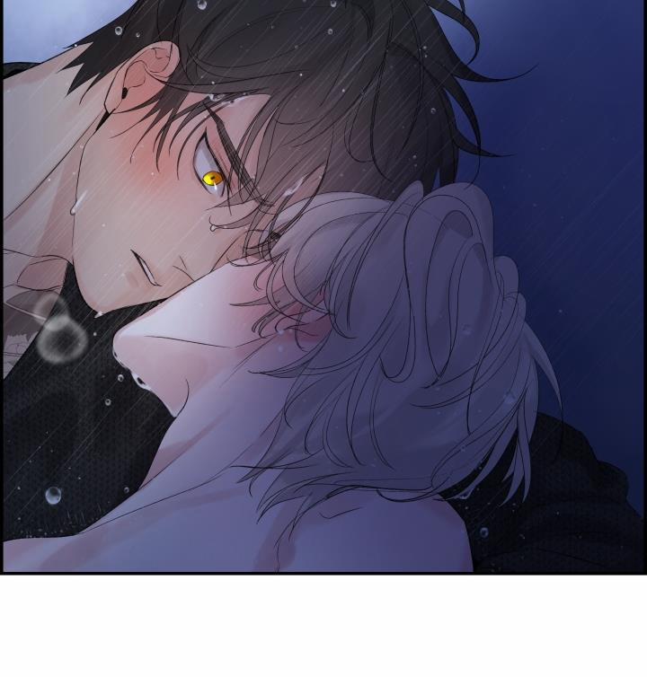 Cơ Chế Bảo Vệ 29 trang 11