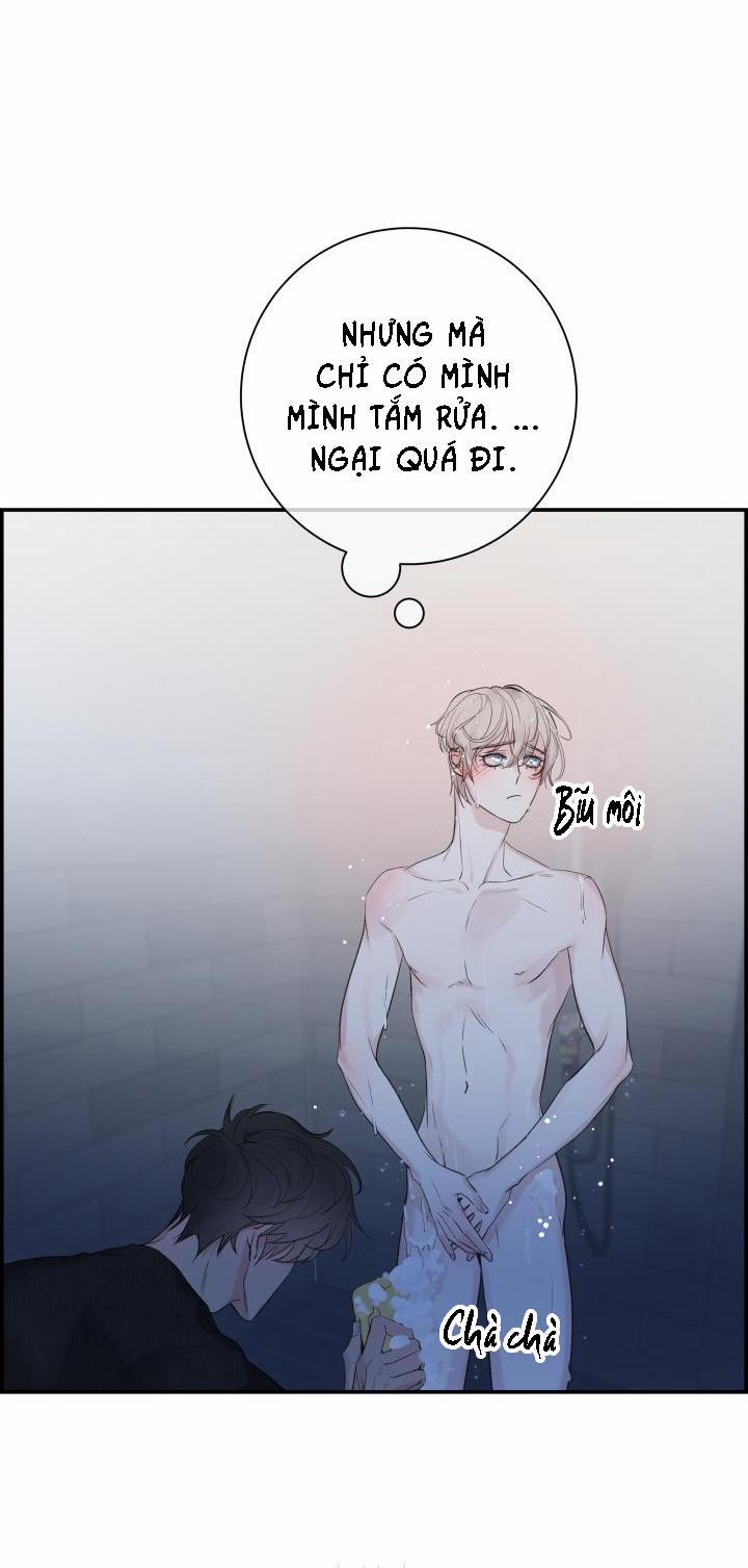 Cơ Chế Bảo Vệ 29 trang 2