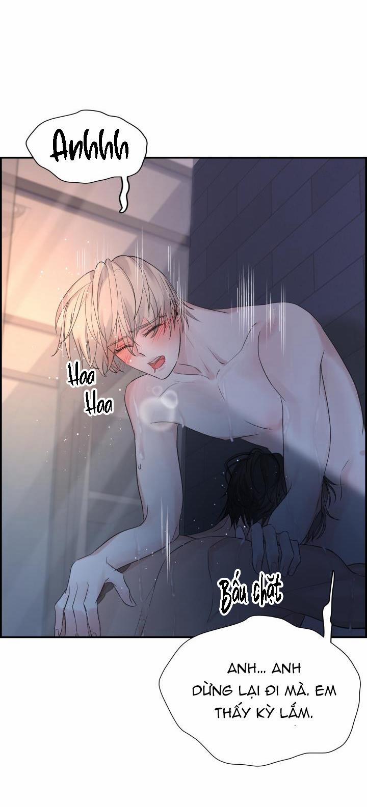 Cơ Chế Bảo Vệ 29 trang 36