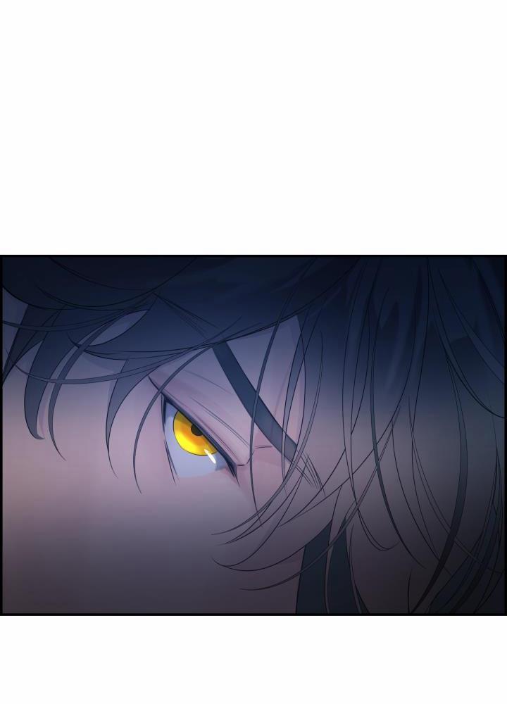 CƠ CHẾ PHÒNG THỦ 12 NGANG RAW trang 15