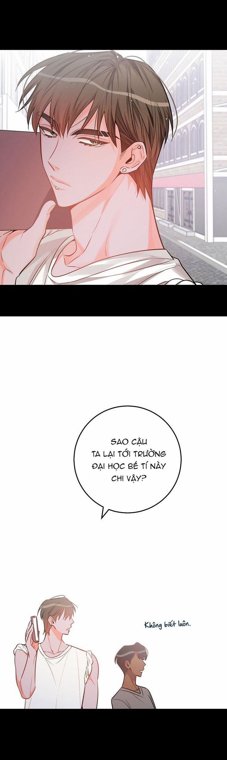 Có Chuyện Gì Xảy Ra Với Sự Nổi Tiếng Của Tôi Thế? 79 NT 9 trang 19