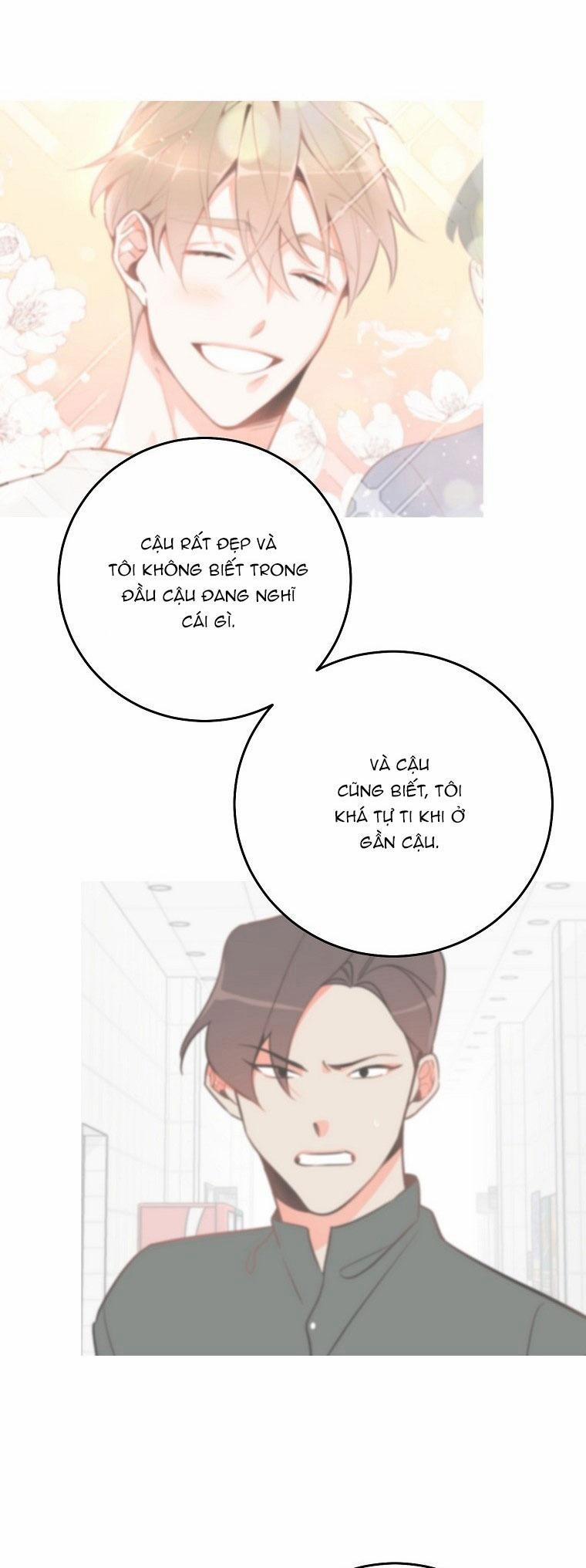 Có Chuyện Gì Xảy Ra Với Sự Nổi Tiếng Của Tôi Thế? 82 NT 12 trang 38