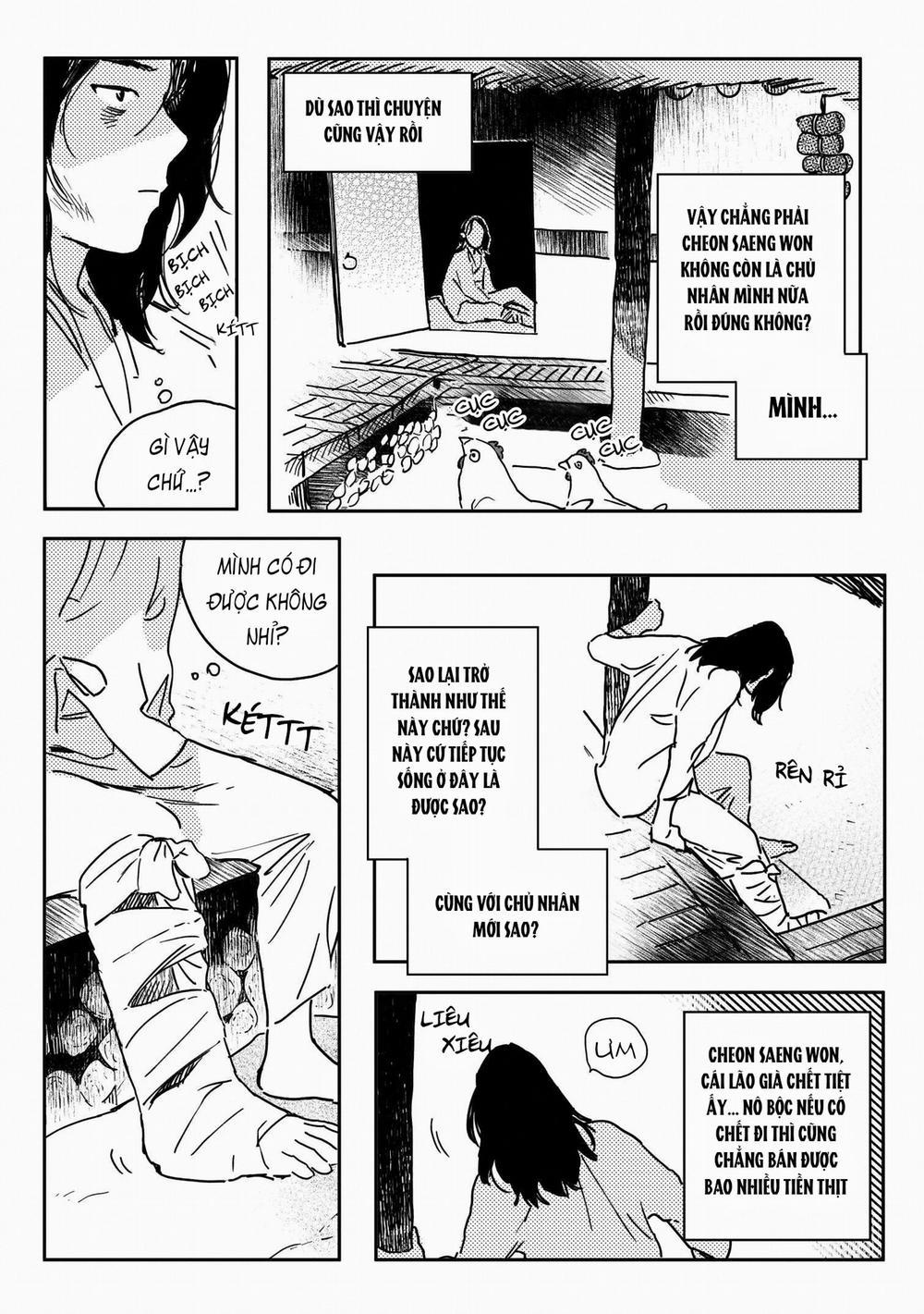 Cô Dâu Của Bongchon – Bongchon Bride 2 trang 11