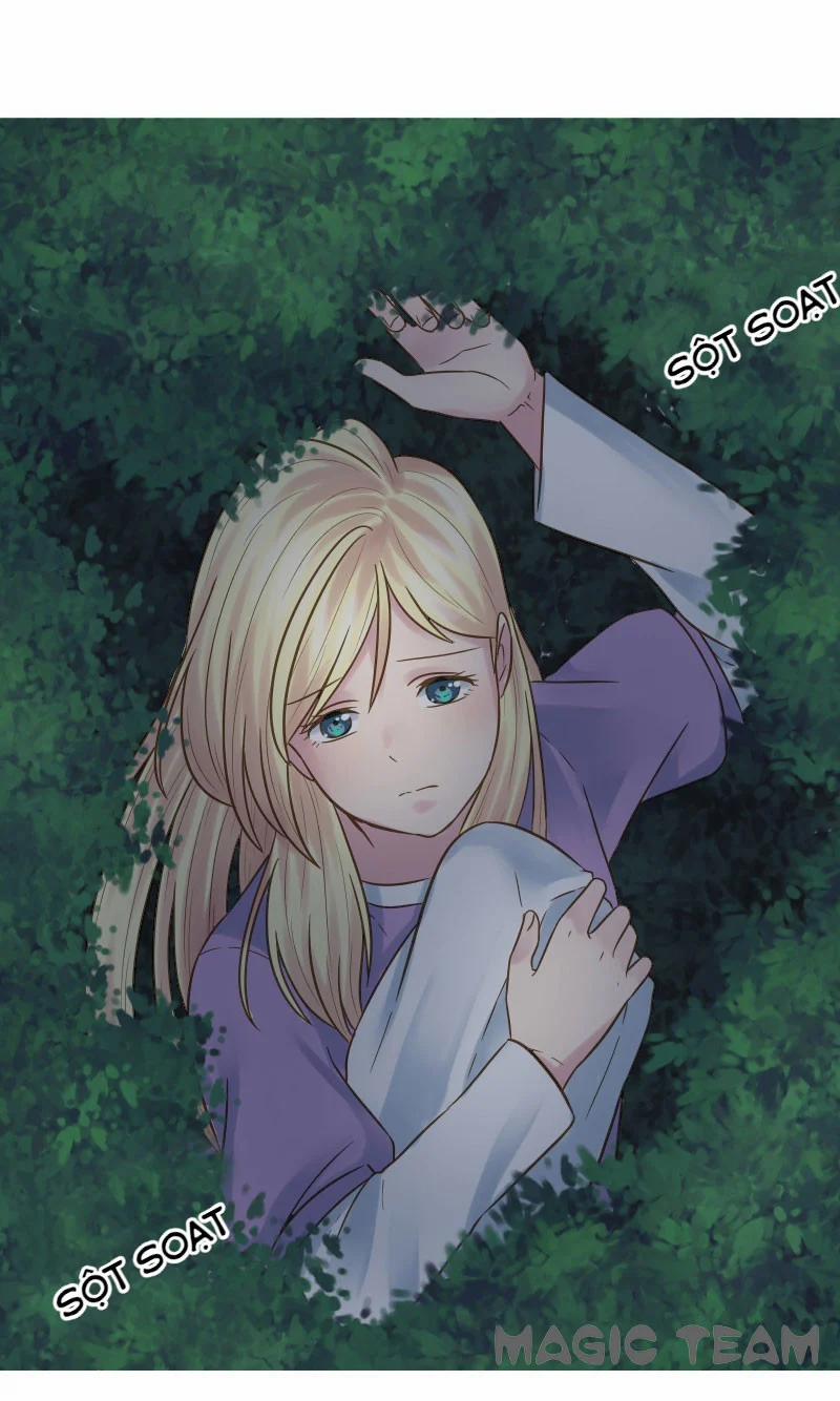 Cô Dâu Của Hoàng Tử Rồng 4 trang 11