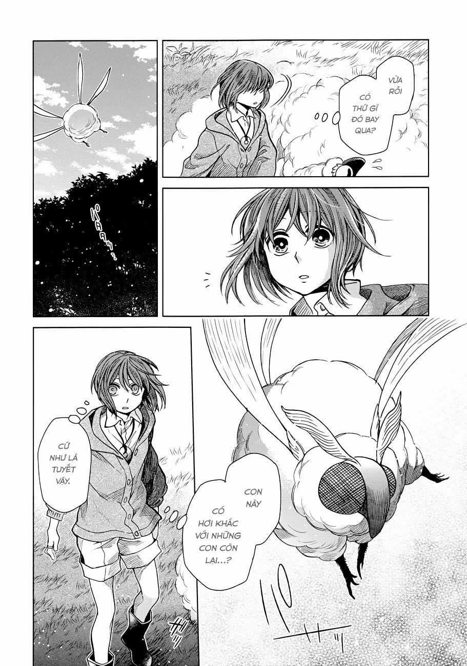 Cô Dâu Pháp Sư 0 0 Sau cơn mưa trời lại sáng trang 13