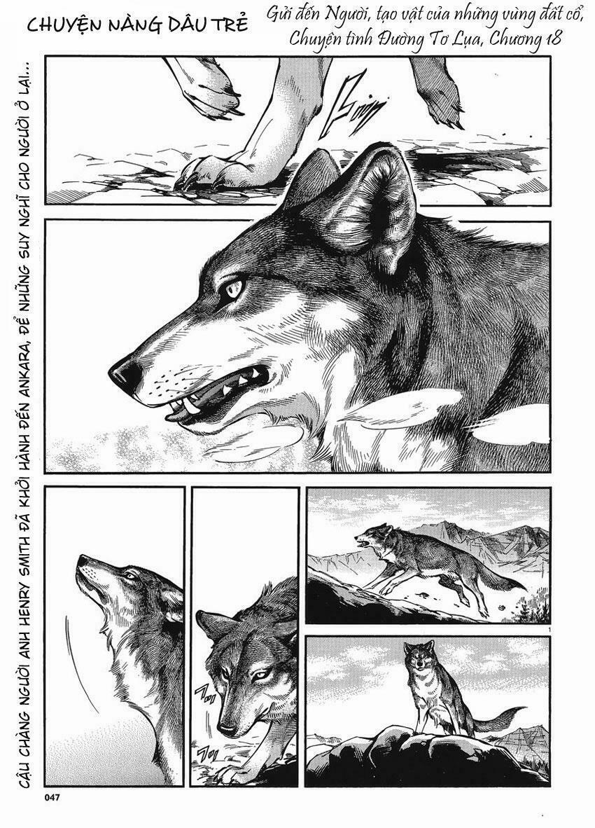 Cô Dâu Thảo Nguyên 18 trang 1